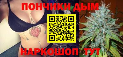 наркотики Сланцы