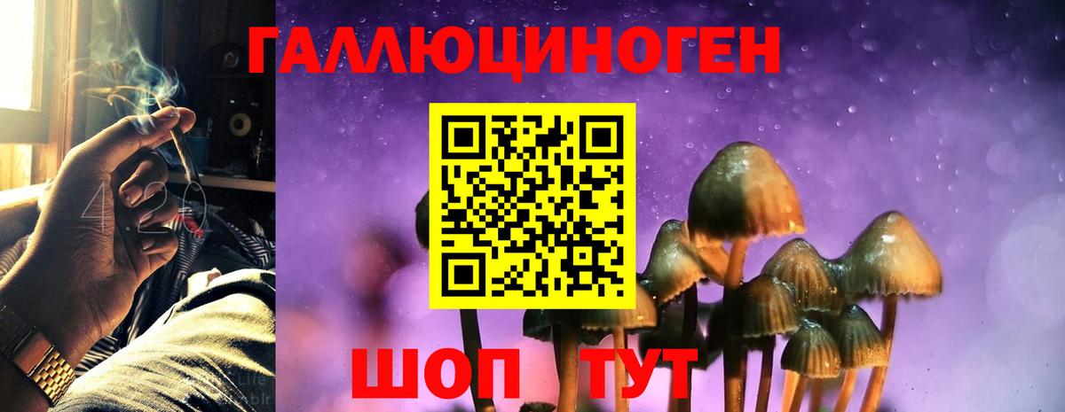 Галлюциногенные грибы Magic Shrooms Воронеж