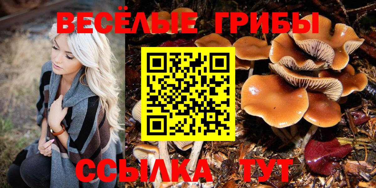 Воронеж  где купить   Вход с VPN  Галлюциногенные грибы мухоморы 